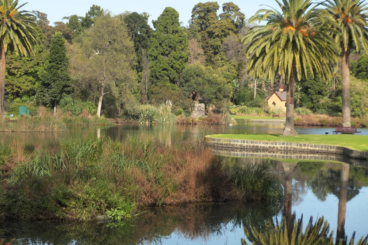 A reed-edged lake in the Royal Botanic Gardens with palm trees and a small cottage on the far bank.